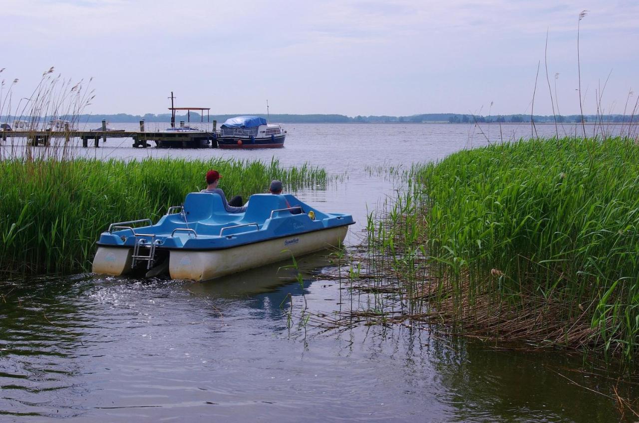 ZiemitzHaus Carmen Auf Usedom Nr.6アパートメント エクステリア 写真