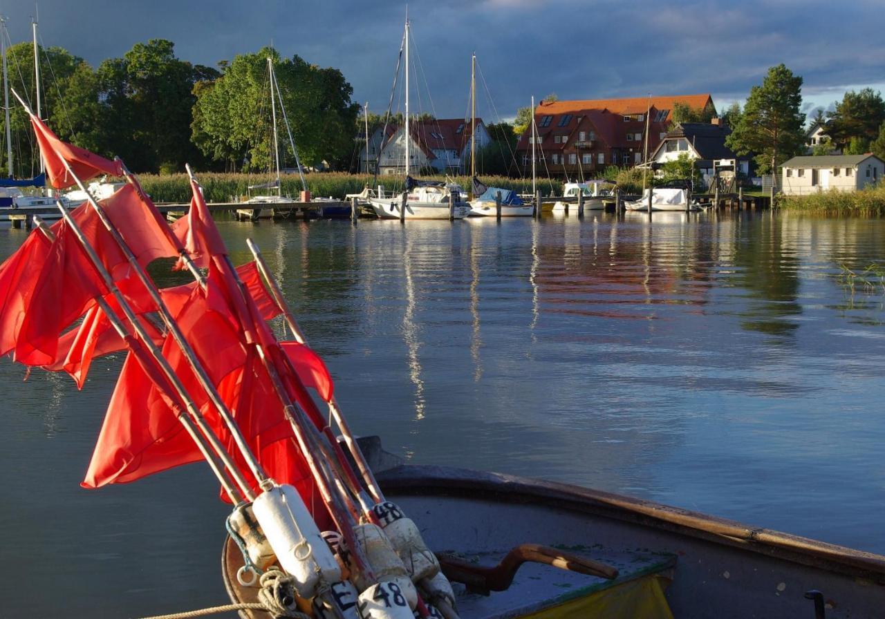 ZiemitzHaus Carmen Auf Usedom Nr.6アパートメント エクステリア 写真